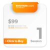 Emotion Code Session